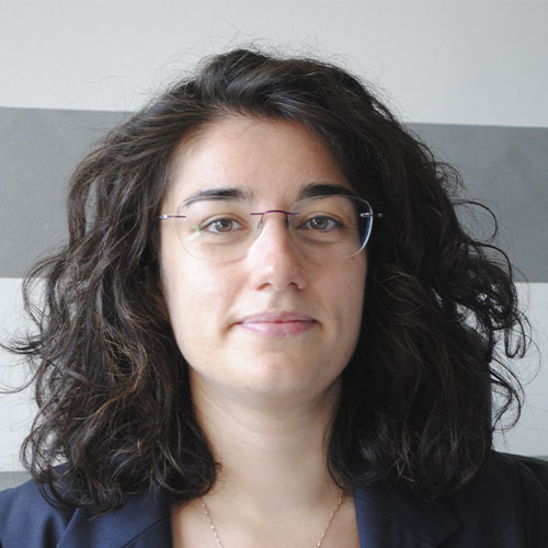 Some text about this image